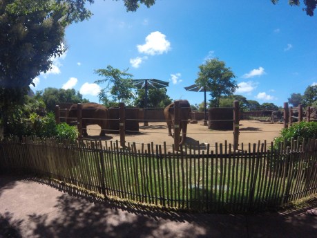 DCIM102GOPRO